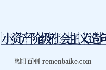 小资产阶级社会主义造句是什么意思的图片